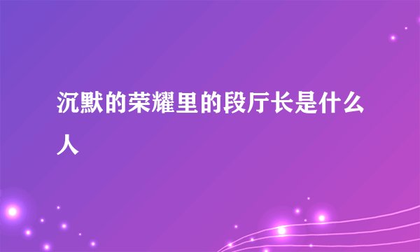 沉默的荣耀里的段厅长是什么人