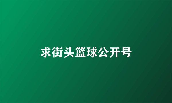 求街头篮球公开号