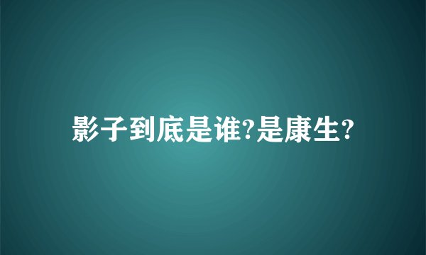 影子到底是谁?是康生?