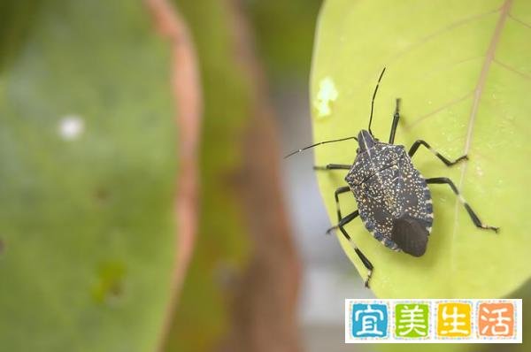 二月二龙抬头,千万不能碰的五件事儿
