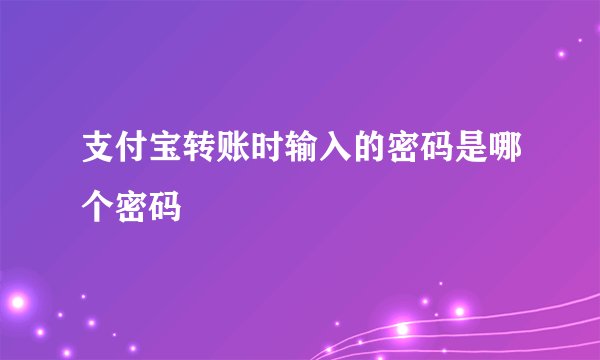 支付宝转账时输入的密码是哪个密码