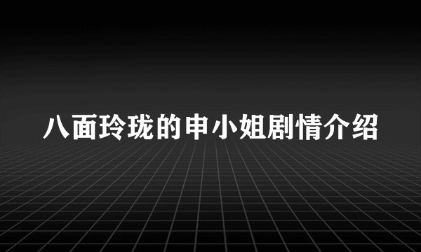 八面玲珑的申小姐剧情介绍