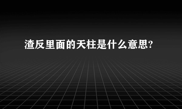 渣反里面的天柱是什么意思?