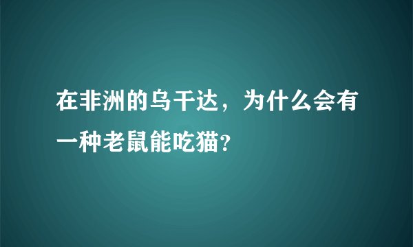 在非洲的乌干达，为什么会有一种老鼠能吃猫？