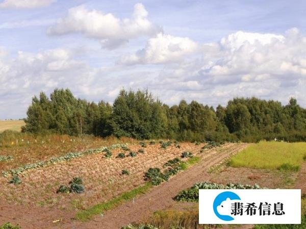 玉容寂寞泪阑干