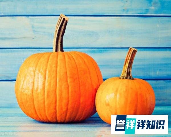 明日是九月九日重阳节，7个忌讳要尊重别犯忌讳，老传统不能丢？