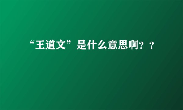 “王道文”是什么意思啊？？