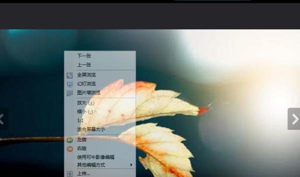 如何使用可牛看图的上一张功能？