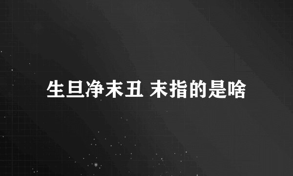 生旦净末丑 末指的是啥