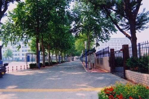 济南九中和回民中学哪个升学率高？