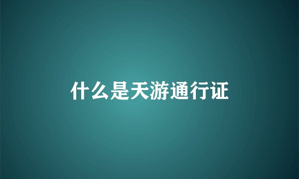 什么是天游通行证