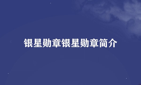 银星勋章银星勋章简介