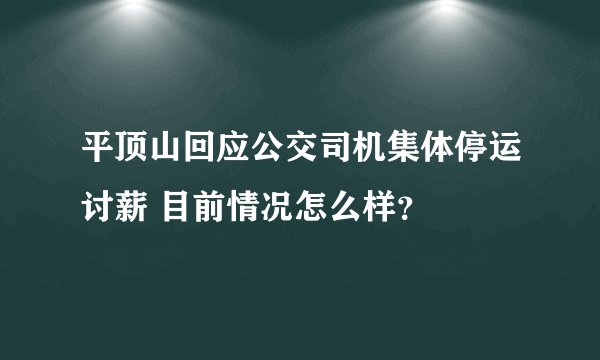 平顶山回应公交司机集体停运讨薪 目前情况怎么样？
