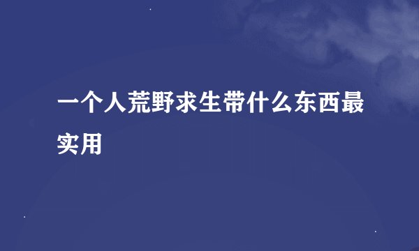 一个人荒野求生带什么东西最实用