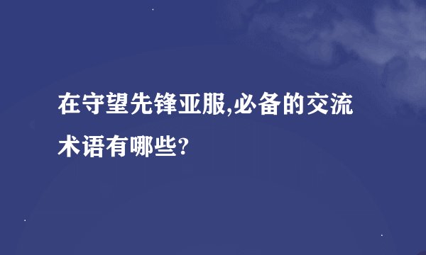 在守望先锋亚服,必备的交流术语有哪些?