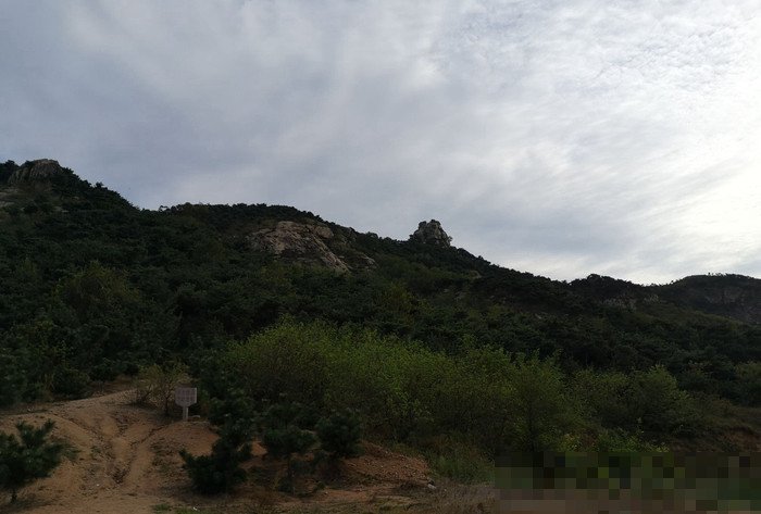 岚山是临沂的吗