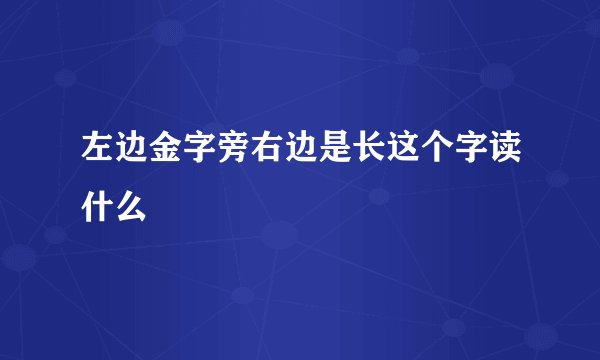 左边金字旁右边是长这个字读什么