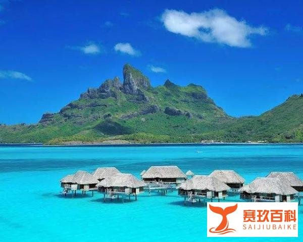 瓦努阿图绿卡和护照区别,办理瓦努阿图绿卡还是护照好?