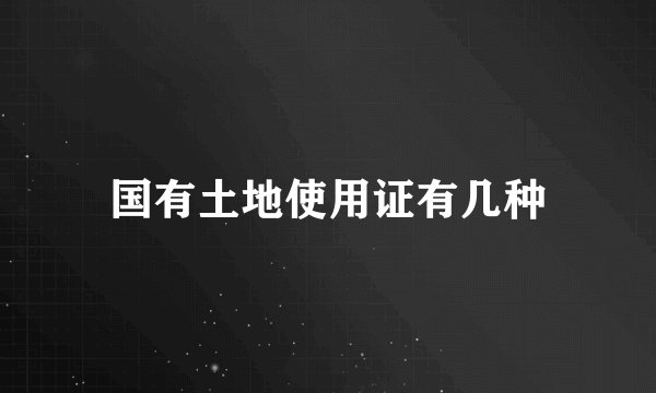 国有土地使用证有几种
