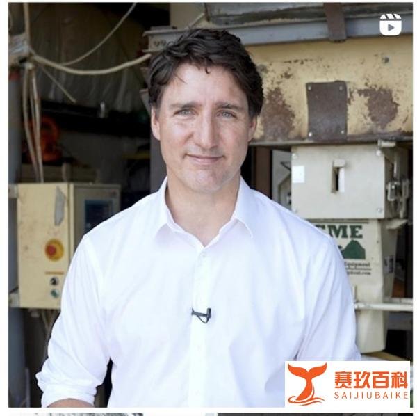 突发！加总理特鲁多婚变，结束18年婚姻！全网吃瓜！