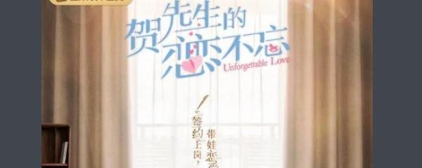 贺先去的恋恋不忘电视剧分集介绍