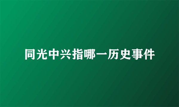 同光中兴指哪一历史事件