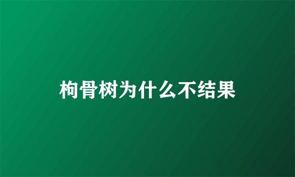 枸骨树为什么不结果