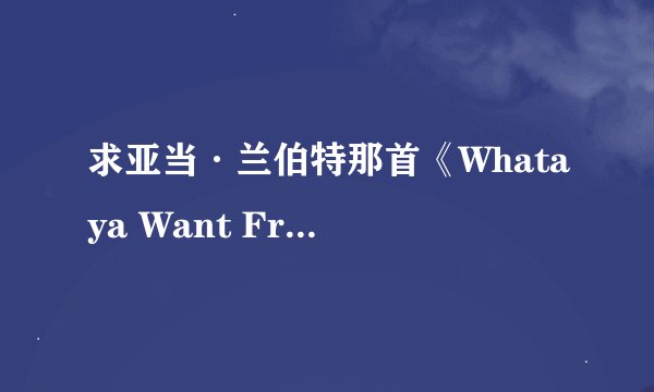 求亚当·兰伯特那首《Whataya Want From Me》的中文歌词