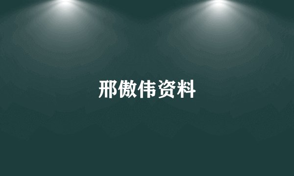 邢傲伟资料