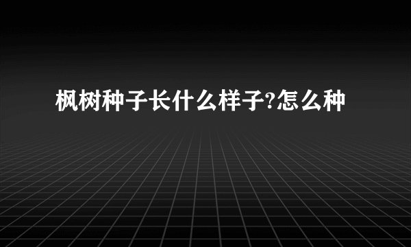 枫树种子长什么样子?怎么种