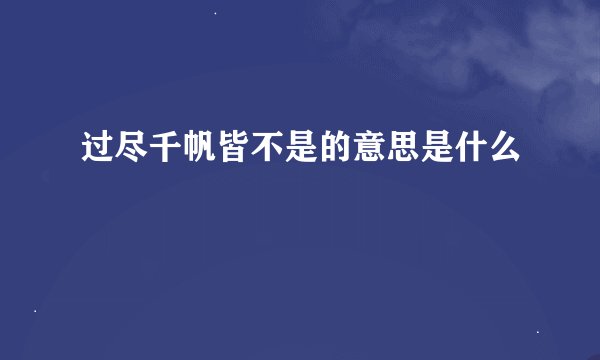 过尽千帆皆不是的意思是什么