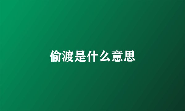 偷渡是什么意思