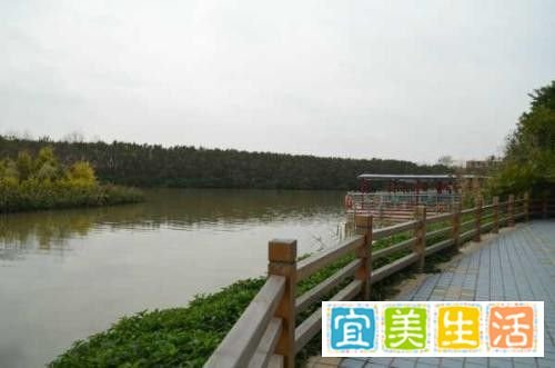 南沙湿地公园广州旅游攻略