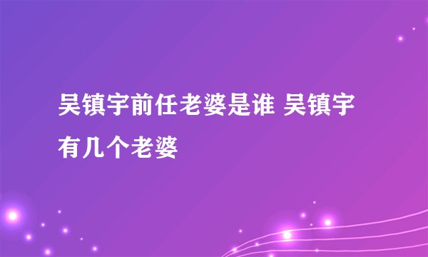 吴镇宇前任老婆是谁 吴镇宇有几个老婆