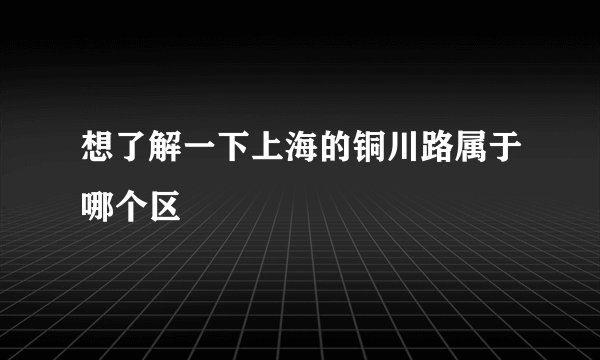 想了解一下上海的铜川路属于哪个区