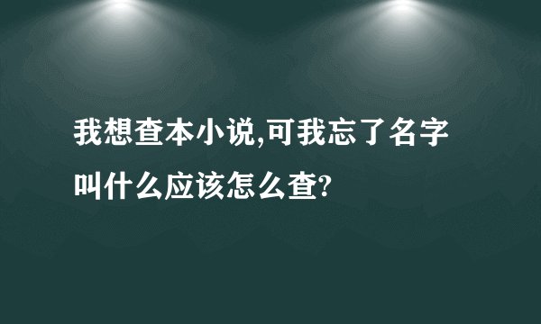 我想查本小说,可我忘了名字叫什么应该怎么查?