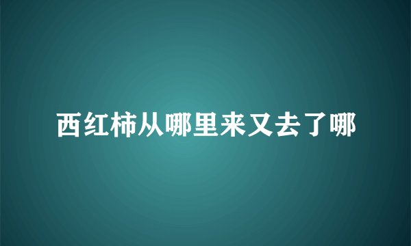 西红柿从哪里来又去了哪