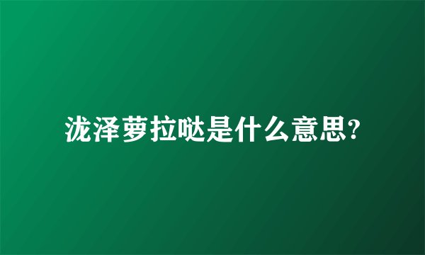 泷泽萝拉哒是什么意思?