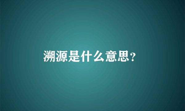 溯源是什么意思？