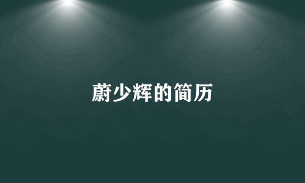 蔚少辉的简历