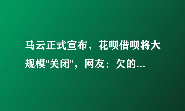 马云正式宣布,花呗借呗将大规模