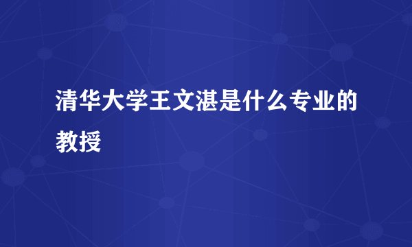 清华大学王文湛是什么专业的教授