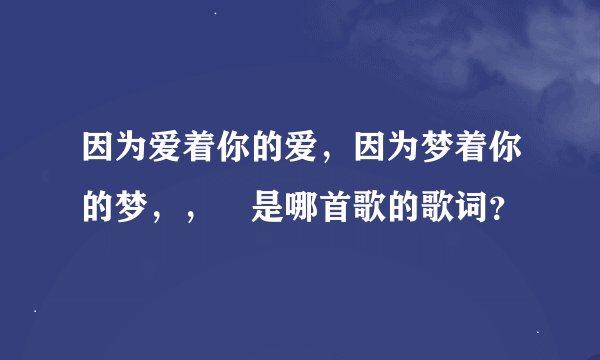 因为爱着你的爱，因为梦着你的梦，， 是哪首歌的歌词？