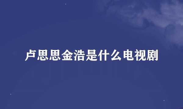 卢思思金浩是什么电视剧