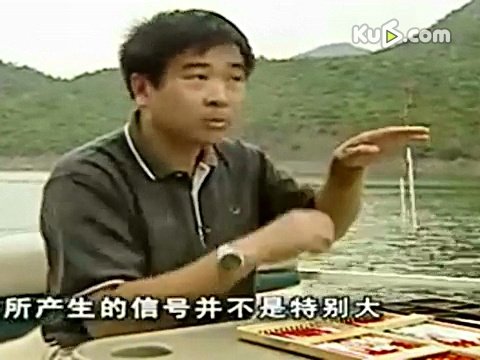 程宁的介绍