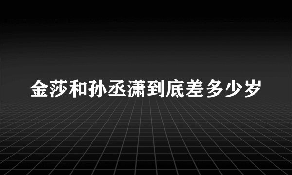 金莎和孙丞潇到底差多少岁