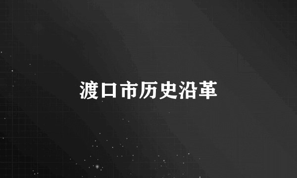 渡口市历史沿革