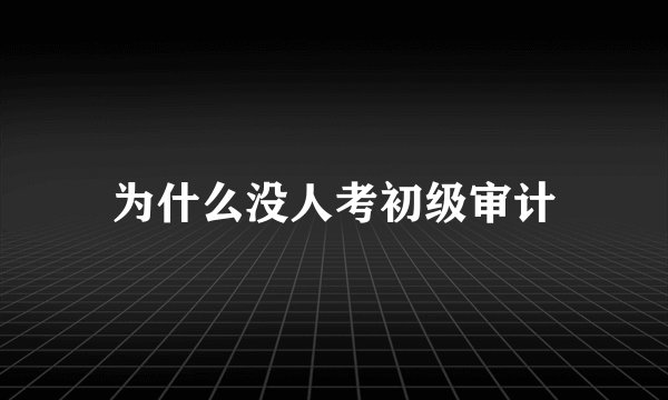 为什么没人考初级审计
