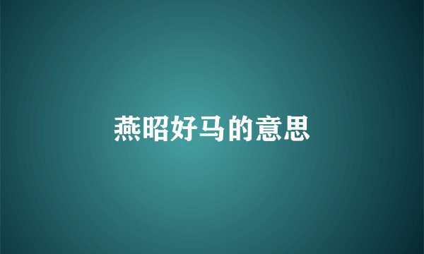 燕昭好马的意思