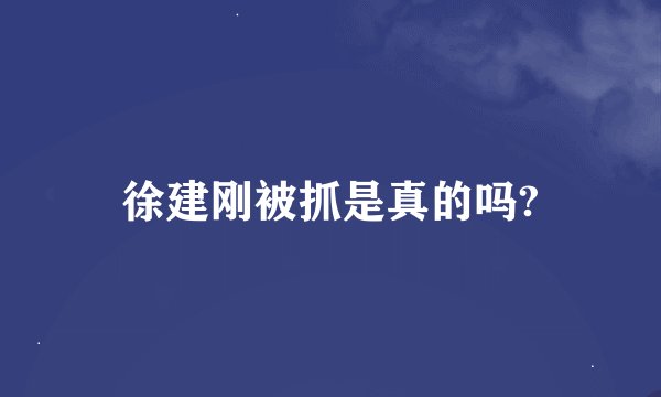 徐建刚被抓是真的吗?